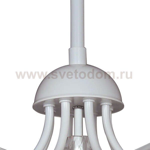 Люстра Favourite 1301-8P