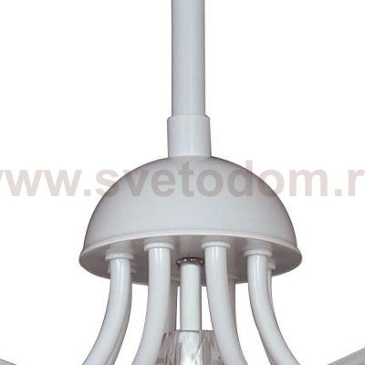 Люстра Favourite 1301-8P