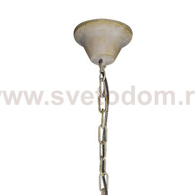 Люстра Favourite 1323-6P