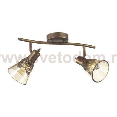 Потолочный светильник Favourite 1795-2U Gumbata