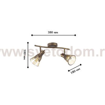 Потолочный светильник Favourite 1795-2U Gumbata