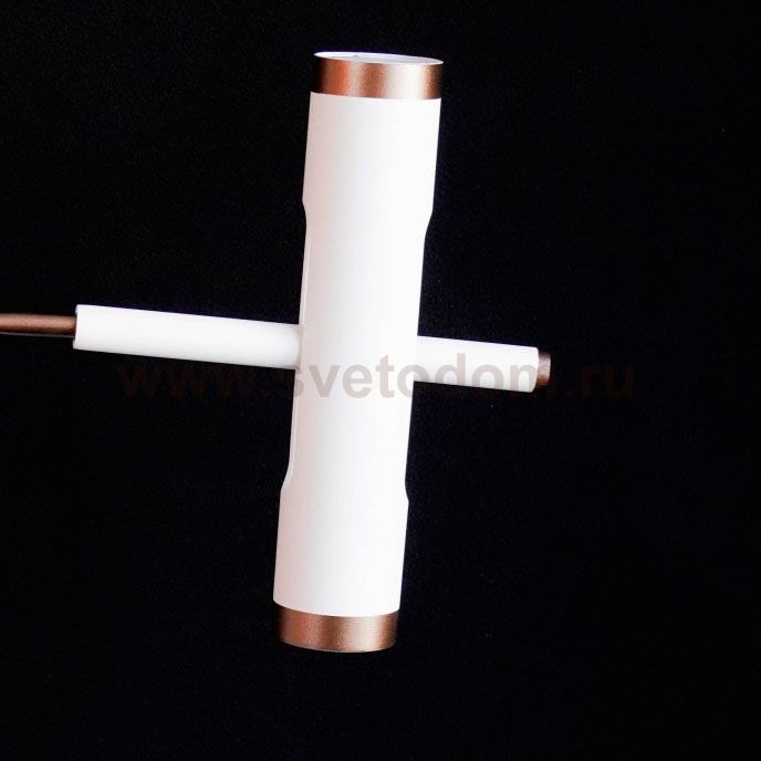 Люстра подвесная Favourite 2325-12P Duplex