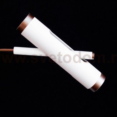 Люстра потолочная Favourite 2325-12U Duplex