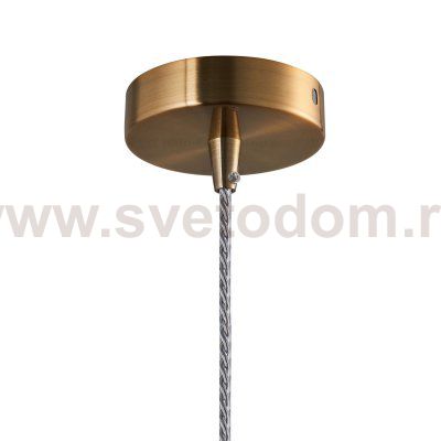 Подвесной светильник Favourite 2328-1P Chimera