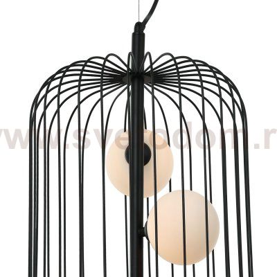 Подвесная люстра Favourite 2367-3P Margarita