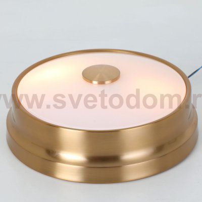 Потолочный светильник Favourite 2375-2C Pannikin