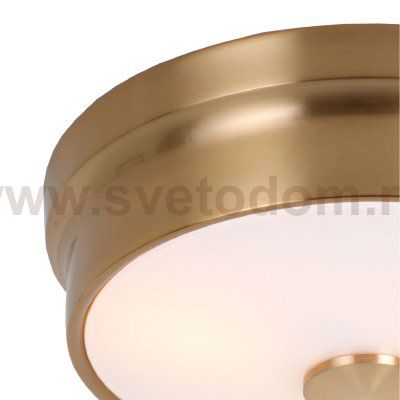 Потолочный светильник Favourite 2375-2C Pannikin