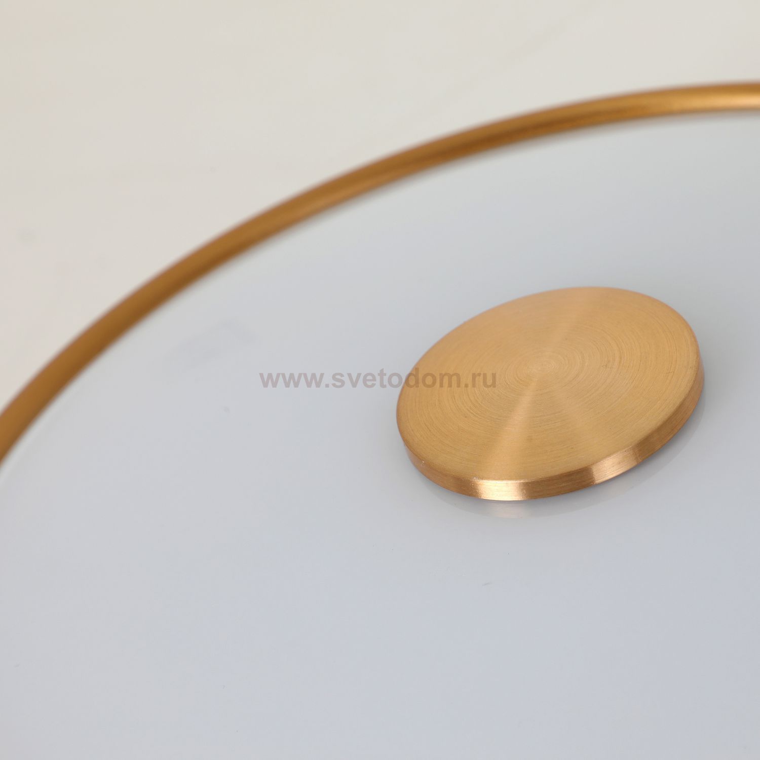 Потолочный светильник Favourite 2375-2C Pannikin