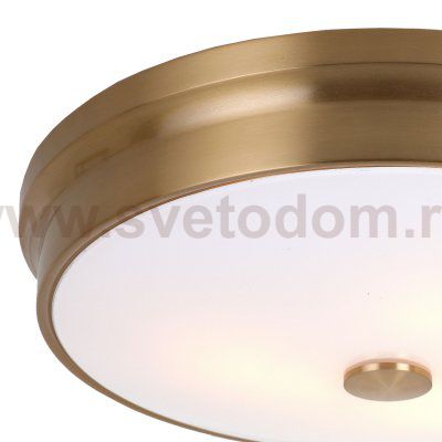 Потолочный светильник Favourite 2375-3C Pannikin