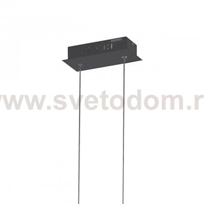 Подвесная люстра Favourite 2382-10P Carcass