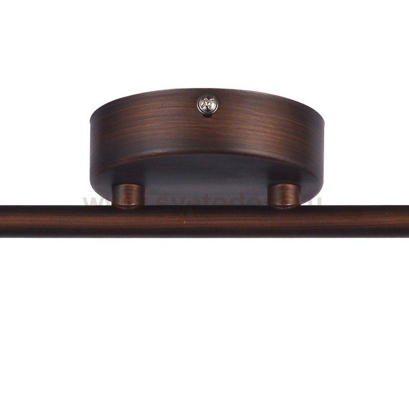 Потолочный светильник Favourite 2394-2U Allegra