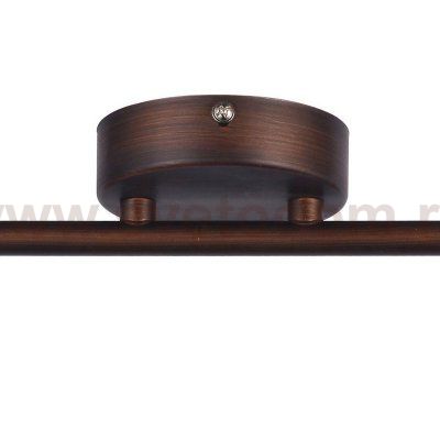 Потолочный светильник Favourite 2394-2U Allegra