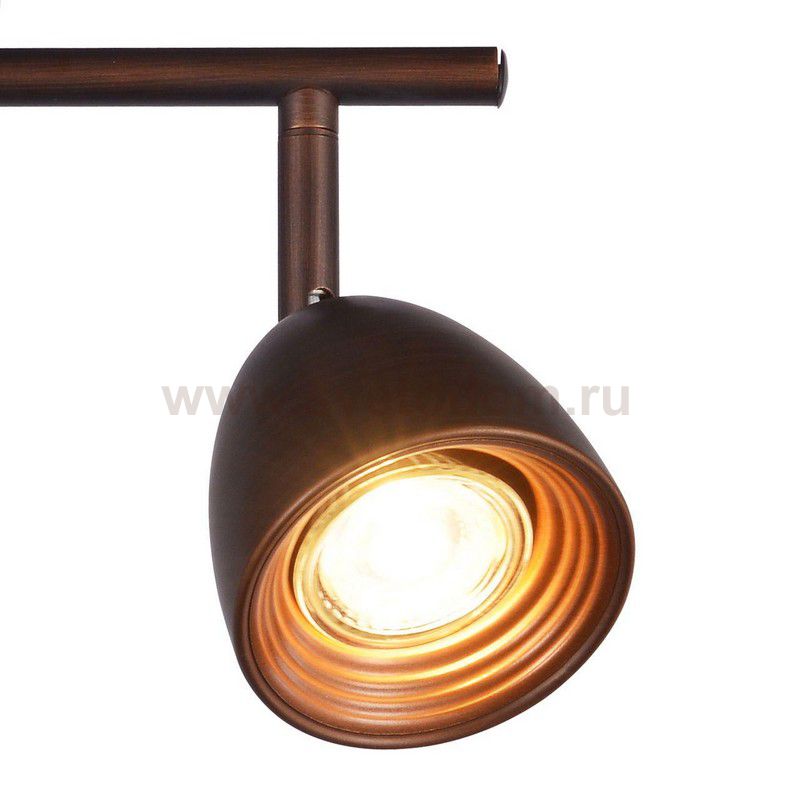 Потолочный светильник Favourite 2394-2U Allegra