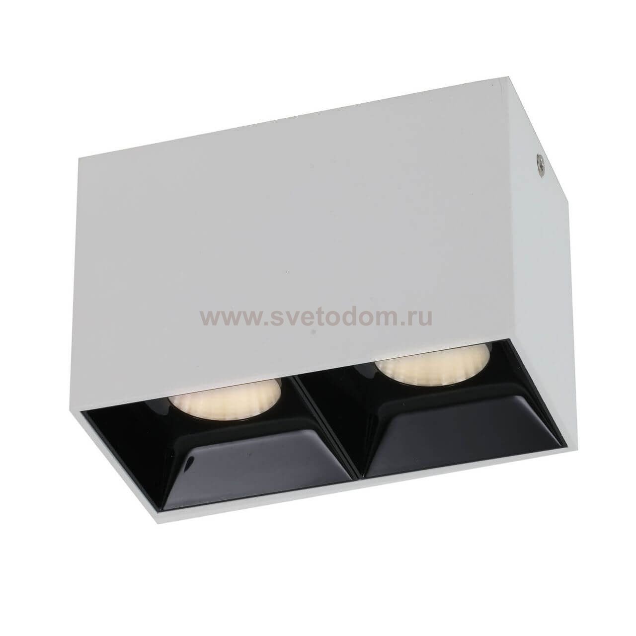 Потолочный светильник Favourite 2405-2U Oppositum