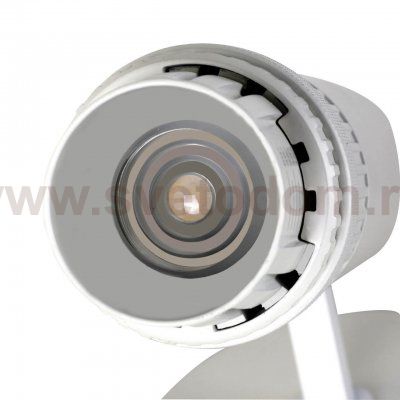 Настенный светильник Favourite 2415-1W Optica