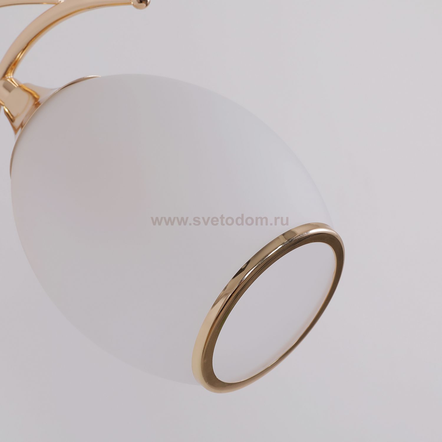 Настенный светильник Favourite 2445-1W Adora