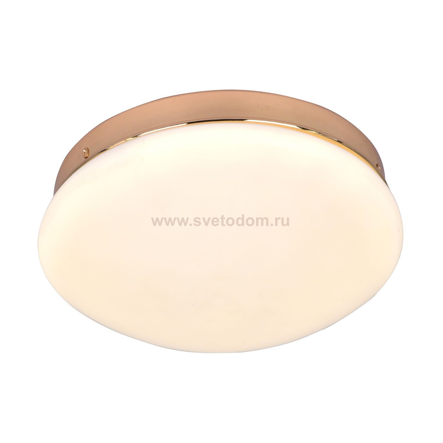 Потолочный светильник Favourite 2465-1C Ledante