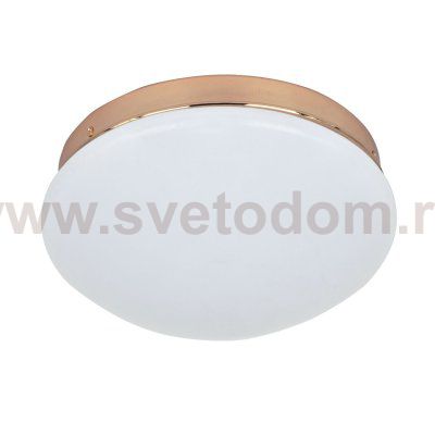 Потолочный светильник Favourite 2465-1C Ledante