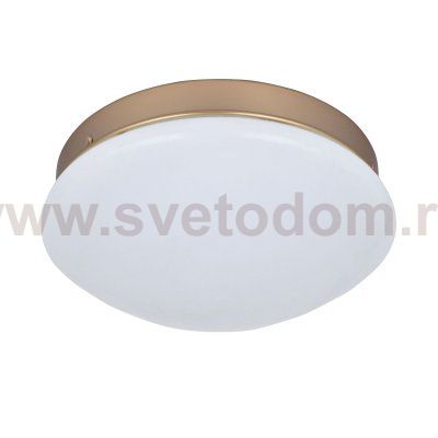 Потолочный светильник Favourite 2466-1C Ledante