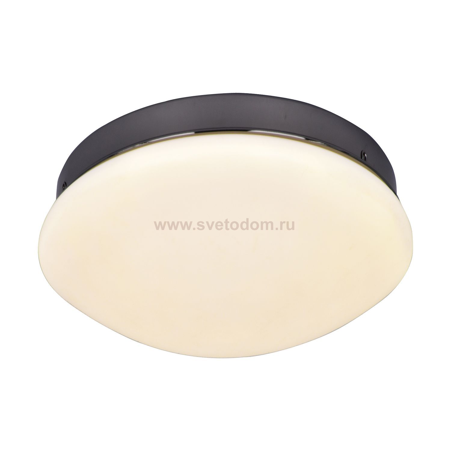 Потолочный светильник Favourite 2468-1C Ledante