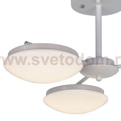 Люстра Favourite 2475-3P Ledante