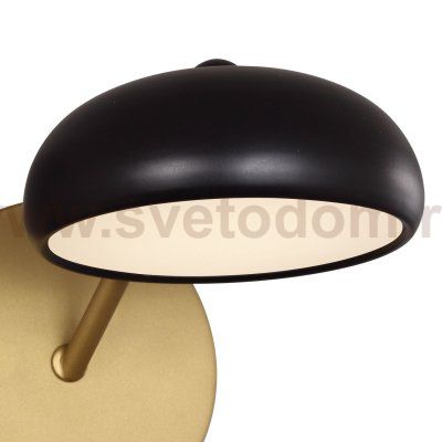 Настенный светильник Favourite 2501-1W Salvator