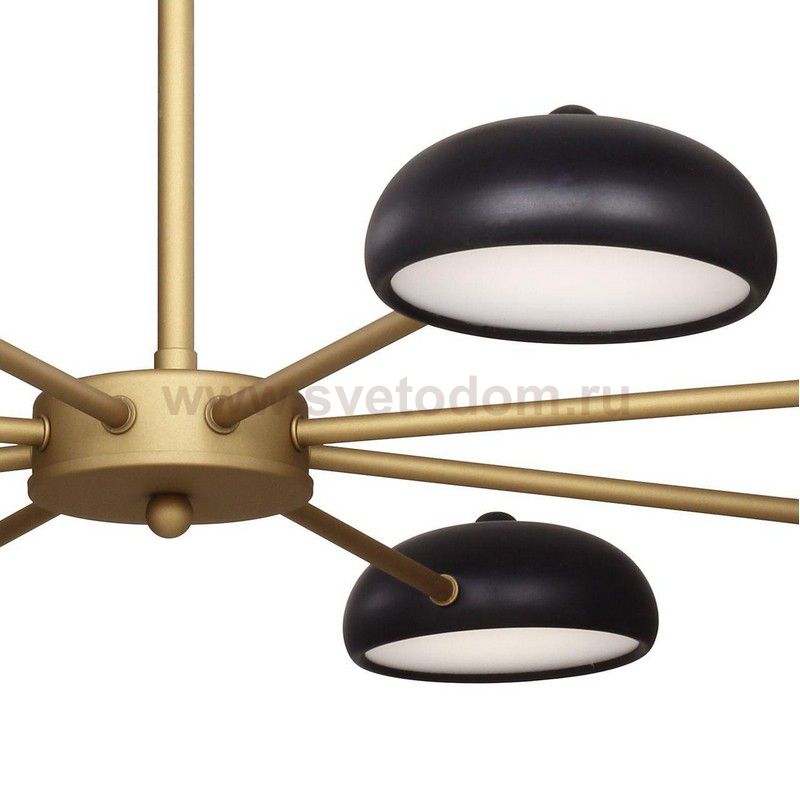 Люстра Favourite 2501-8P Salvator