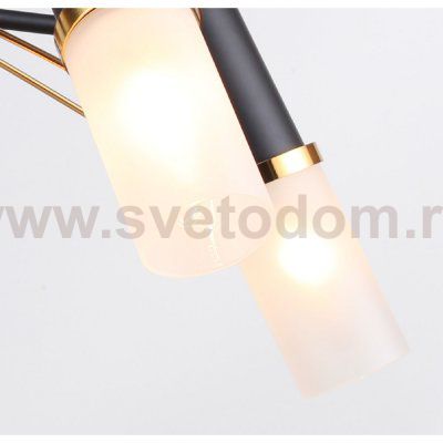 Потолочная люстра Favourite 2558-5P Viator