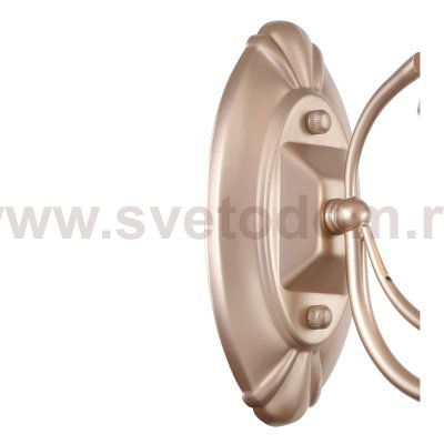 Настенный светильник Favourite 2560-1W Aleranto