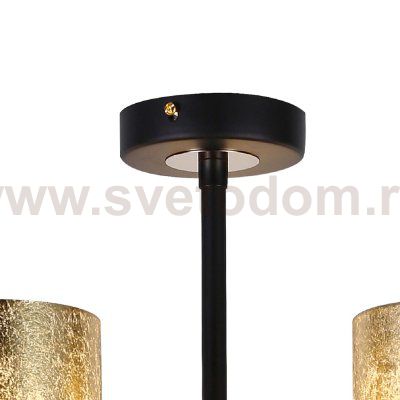 Люстра Favourite 2588-5P