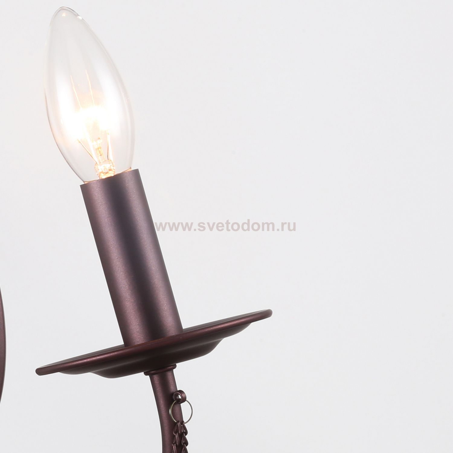 Настенный светильник Favourite 2590-2W Plini