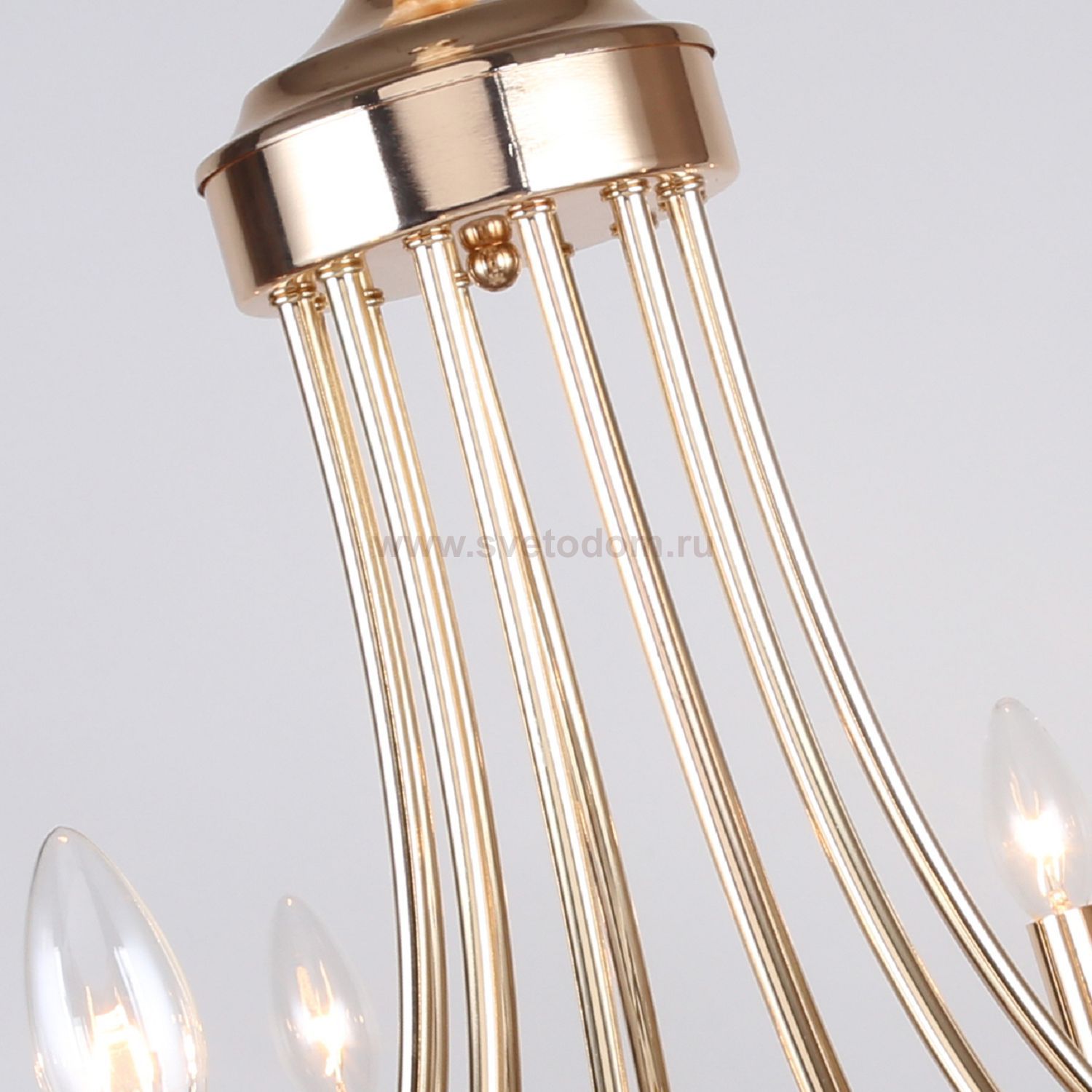 Подвесная люстра Favourite 2591-12P Plini