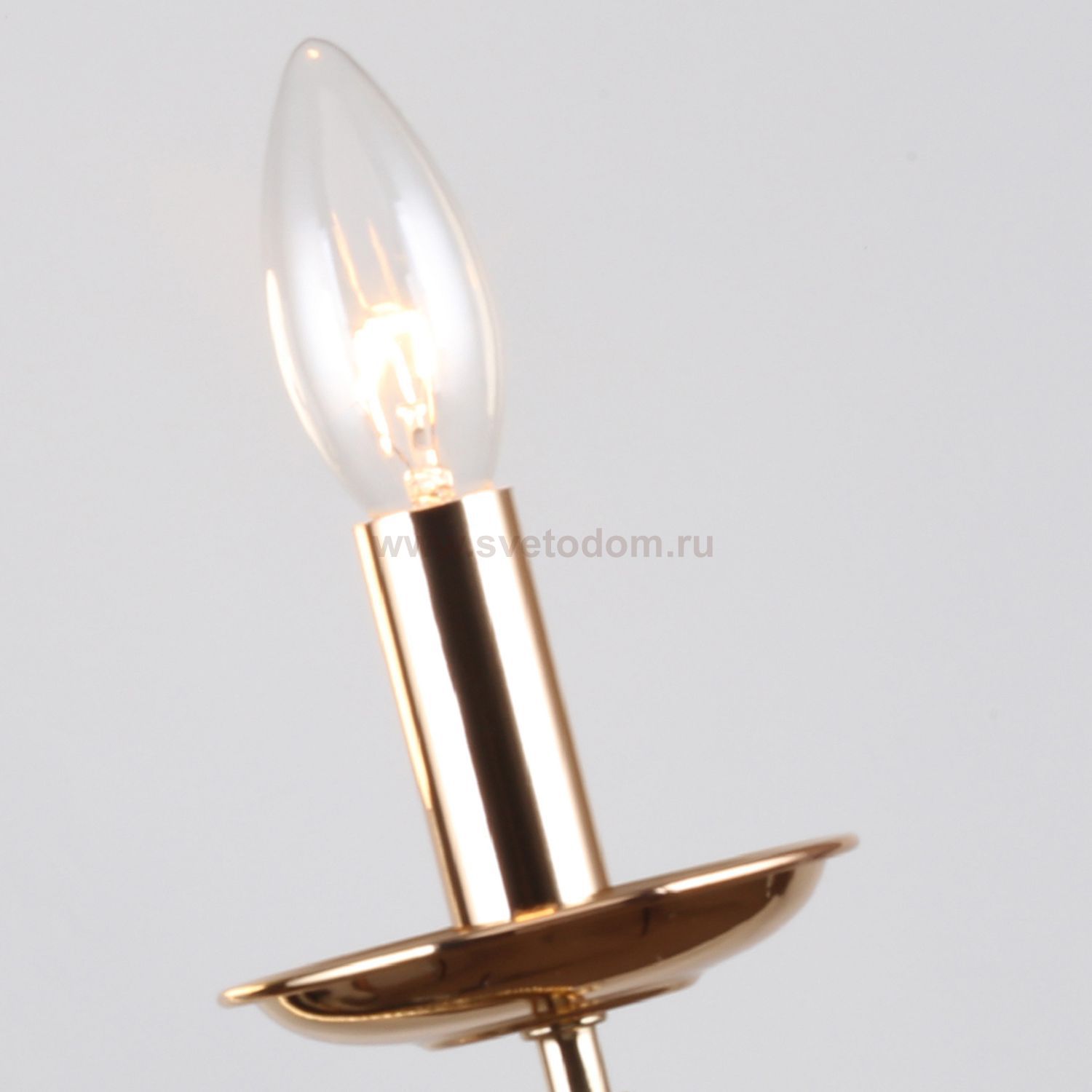 Настенный светильник Favourite 2591-1W Plini