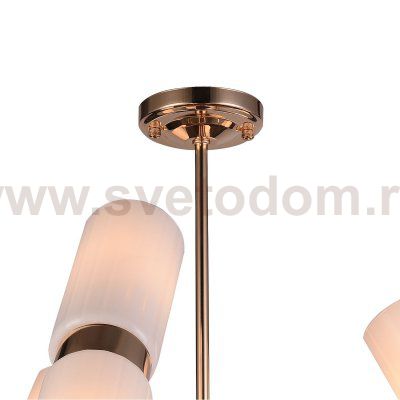 Люстра Favourite 2617-12P