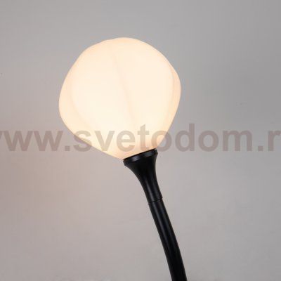 Настенный светильник Favourite 2688-1W Suri