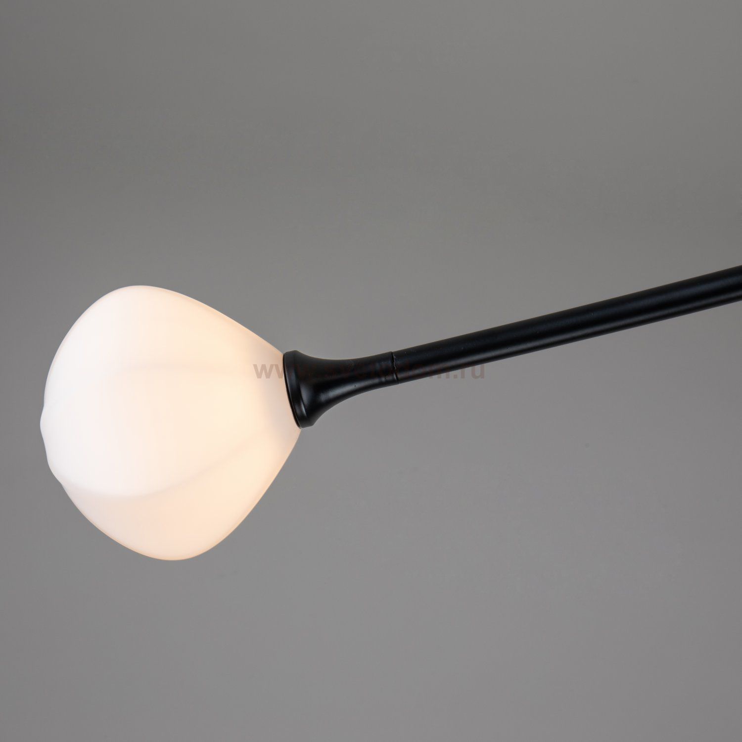 Потолочная люстра Favourite 2688-6P Suri