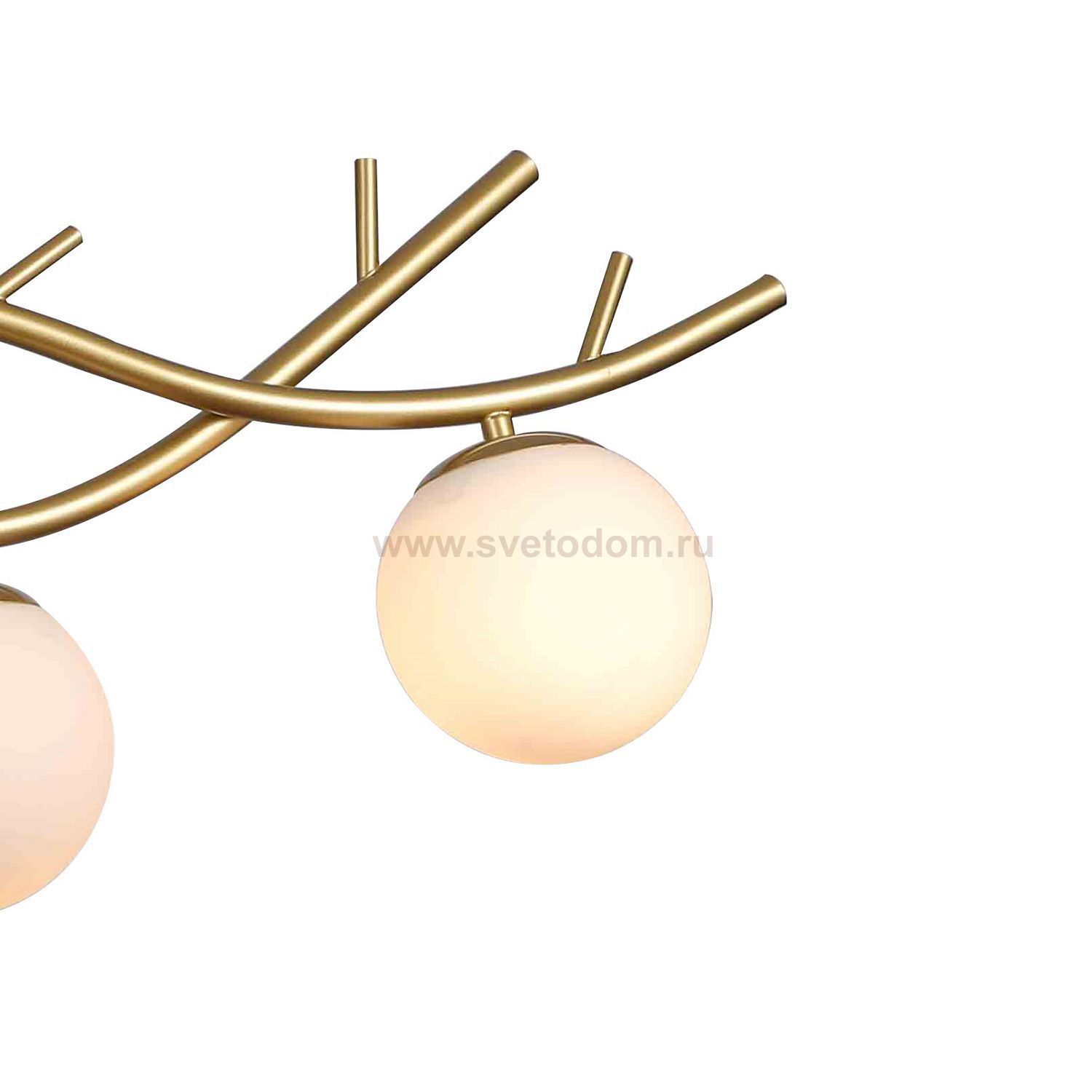 Подвесная люстра Favourite 2742-4P Avis