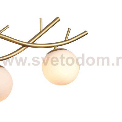 Подвесная люстра Favourite 2742-4P Avis