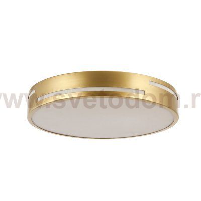 Потолочный светильник Favourite 2745-1C Pall