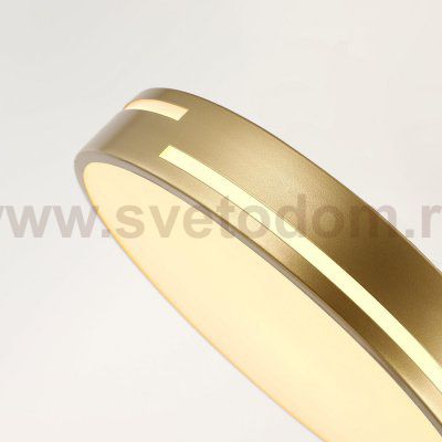 Потолочный светильник Favourite 2745-1C Pall