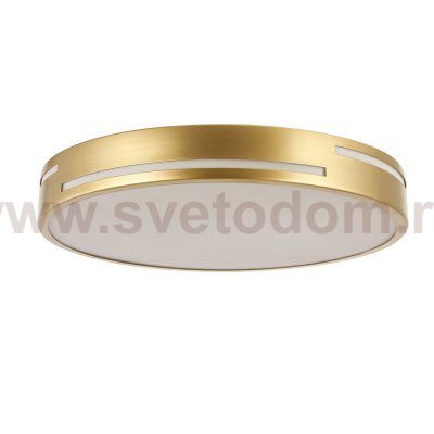 Потолочный светильник Favourite 2745-2C Pall