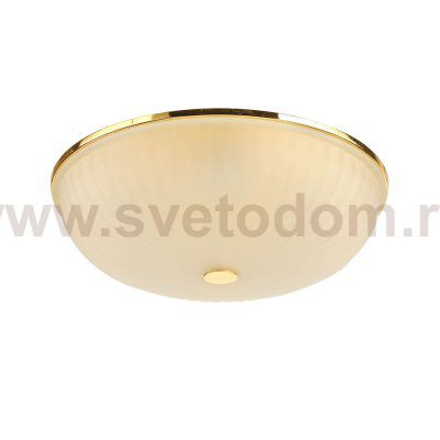 Потолочный светильник Favourite 2752-5C Costa