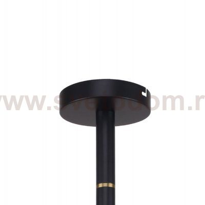 Потолочная люстра Favourite 2766-12P Eternity