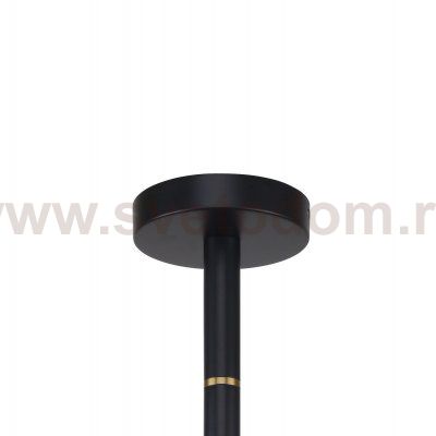 Потолочная люстра Favourite 2766-6P Eternity