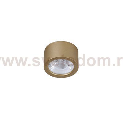Потолочный светильник Favourite 2807-1U Deorsum