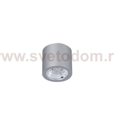 Потолочный светильник Favourite 2808-1C Deorsum