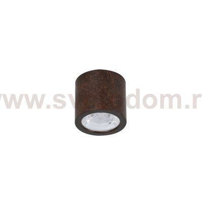 Потолочный светильник Favourite 2809-1C Deorsum
