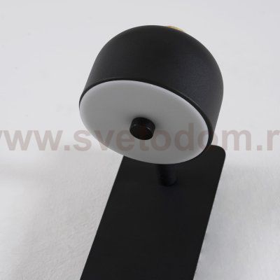 Настенный светильник Favourite 2833-1W Mauris