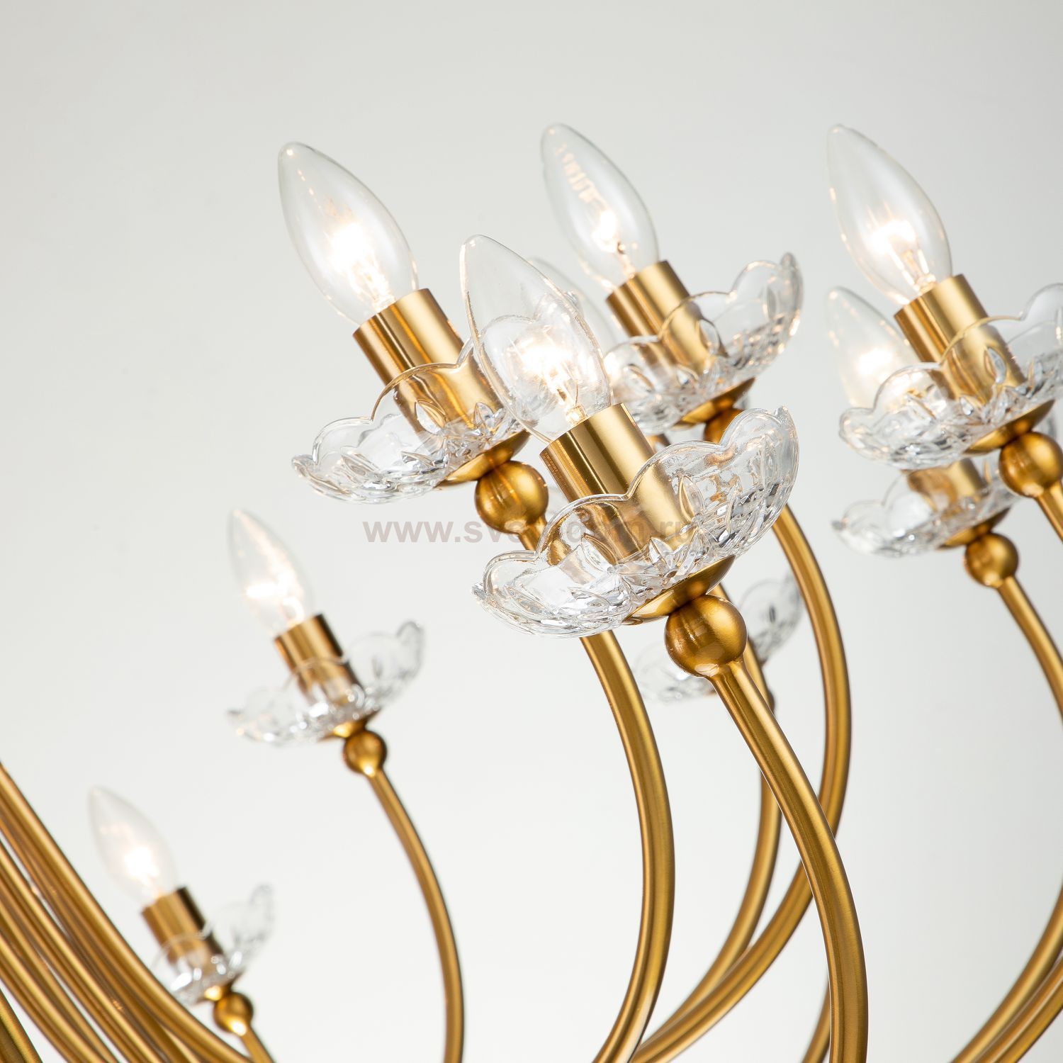 Подвесная люстра Favourite 2871-25P Bellis