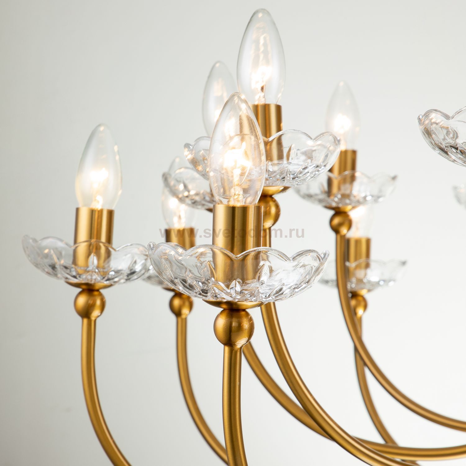 Подвесная люстра Favourite 2871-25P Bellis